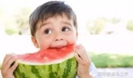 热门大瓜每日必吃 潜规则全书,热门大瓜背后的权力游戏